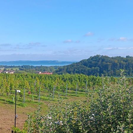 Villa De Charme Elegante, Calme, Nature Boudry Eksteriør bilde