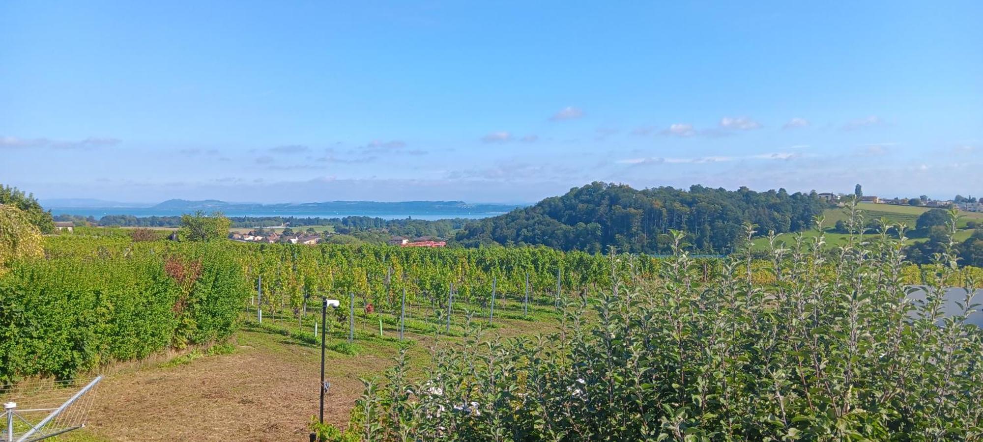 Villa De Charme Elegante, Calme, Nature Boudry Eksteriør bilde